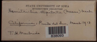 Image Associated With the Occurence